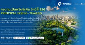 กองทุน Thaiesg