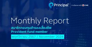 PVD monthly report cover - nov24